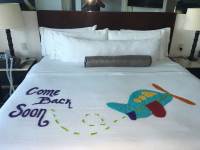 Cancun - 
Live Aqua Beach Resort Cancun
