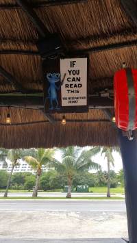 Cancun - Blue Gecko Cantina