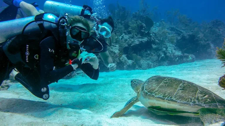 akumal-turtle-snorkeling