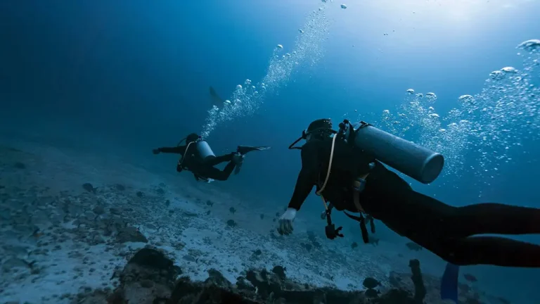 akumal-turtle-snorkeling-divers