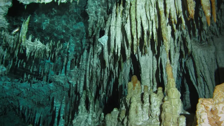 cenotes-des-ojos-3