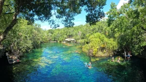 Cenote Jardin del Eden