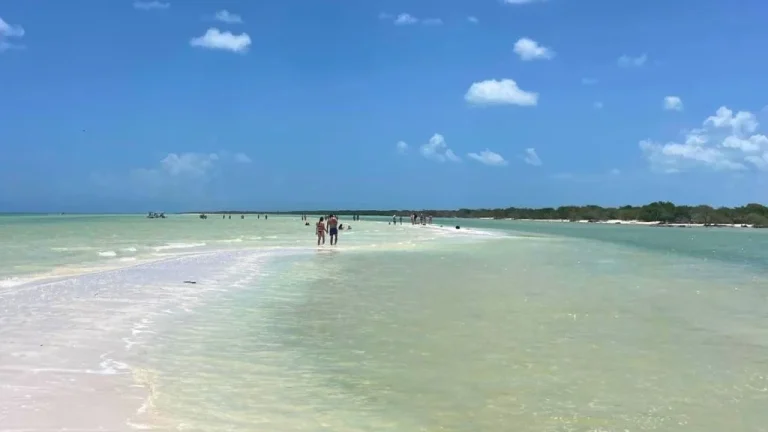 holbox-whale-shark-beach