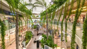 Playa del Carmen Mall Area