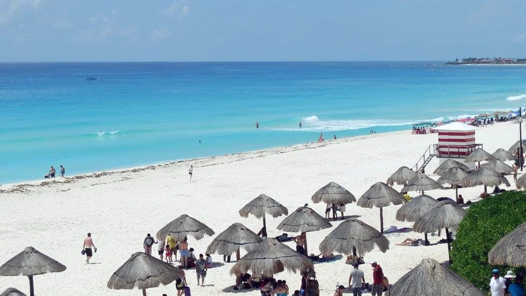 playa-delfines