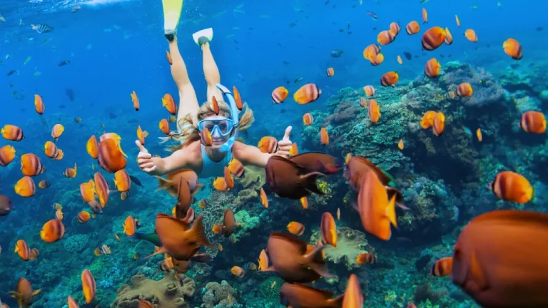puerto-morelos-scuba2