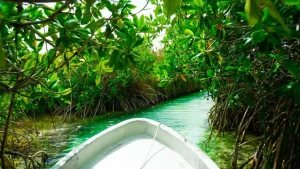 Sian Ka’an Biosphere Reserve